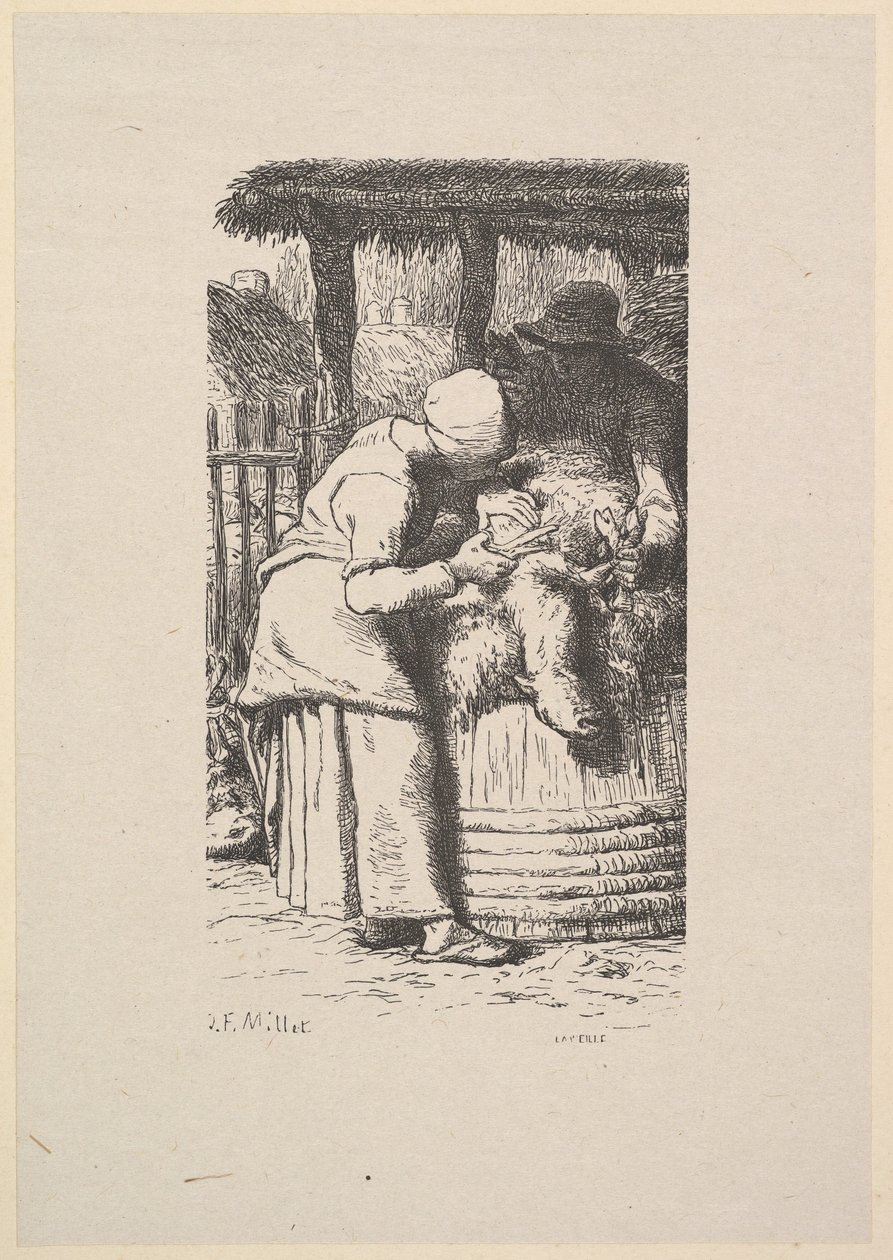 Tosquia de ovelhas, 1853. de Jacques Adrien Lavieille