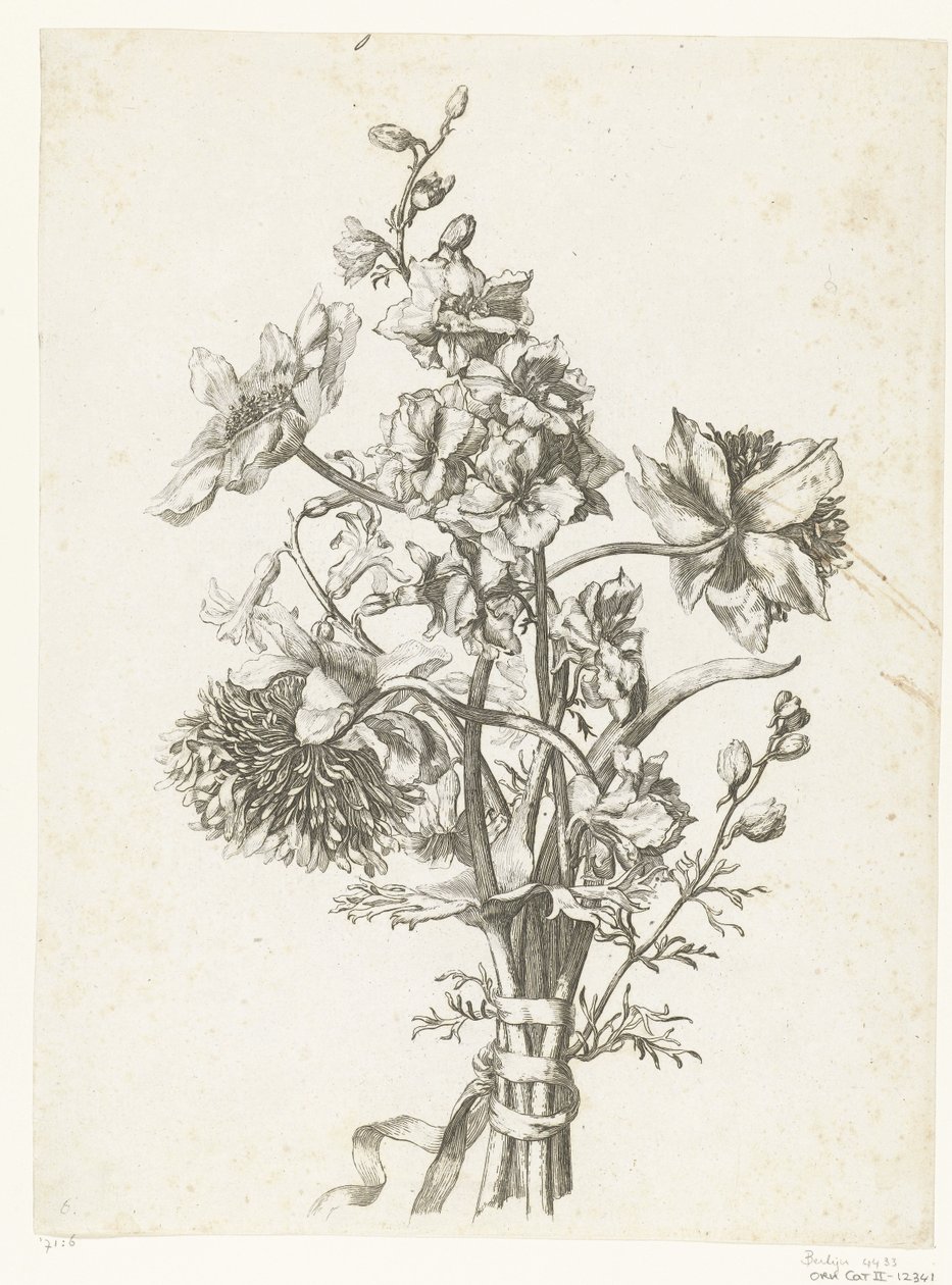 Bouquet com anêmonas, um jacinto e delphiniums Diverse Fleurs mises en Boucquets (título da série) de Jacques Bailly (I)