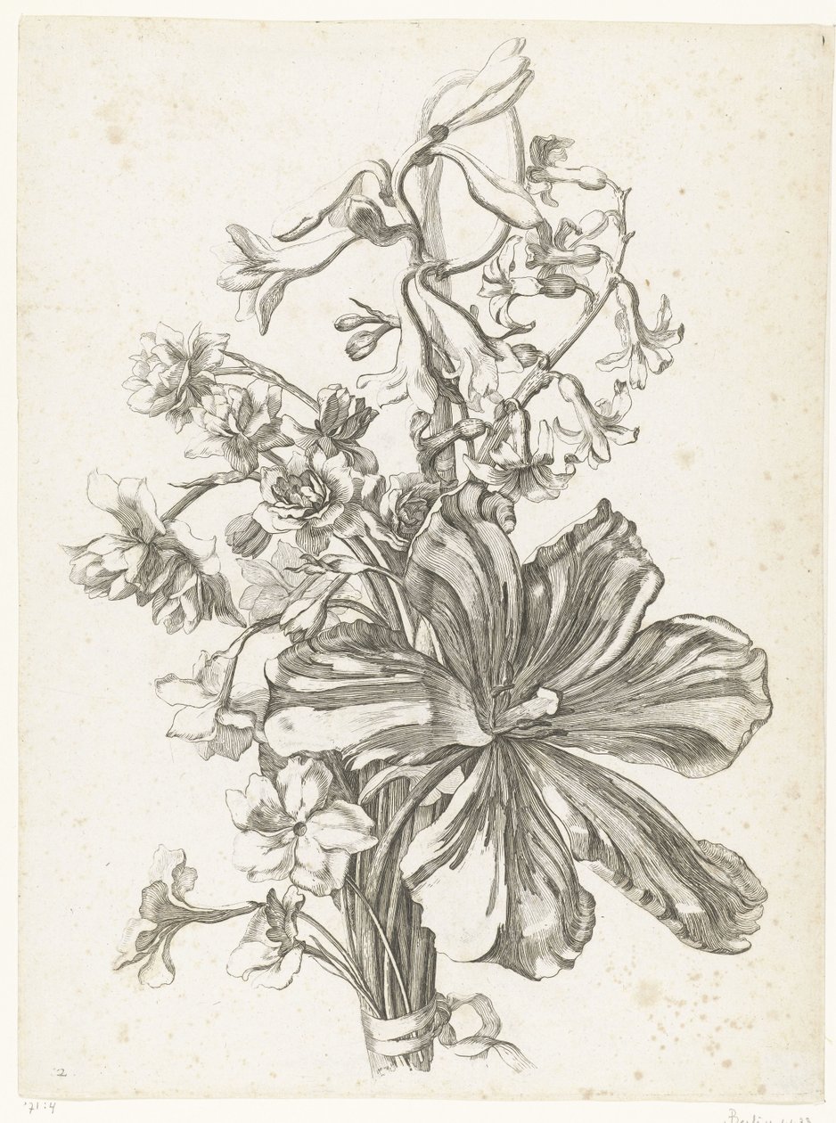 Buquê com uma tulipa, um jacinto, brodiaea e narcisos Diverse Fleurs mises en Boucquets (título da série) de Jacques Bailly (I)