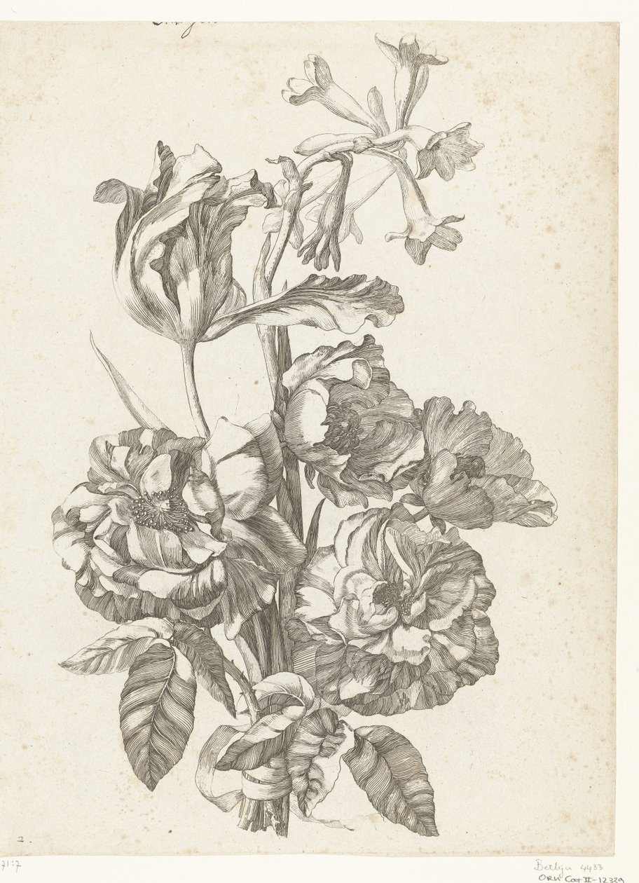 Bouquet com peónias, uma tulipa e um bródio
Diverses Fleurs mises en Boucquets (título da série) de Jacques Bailly (I)