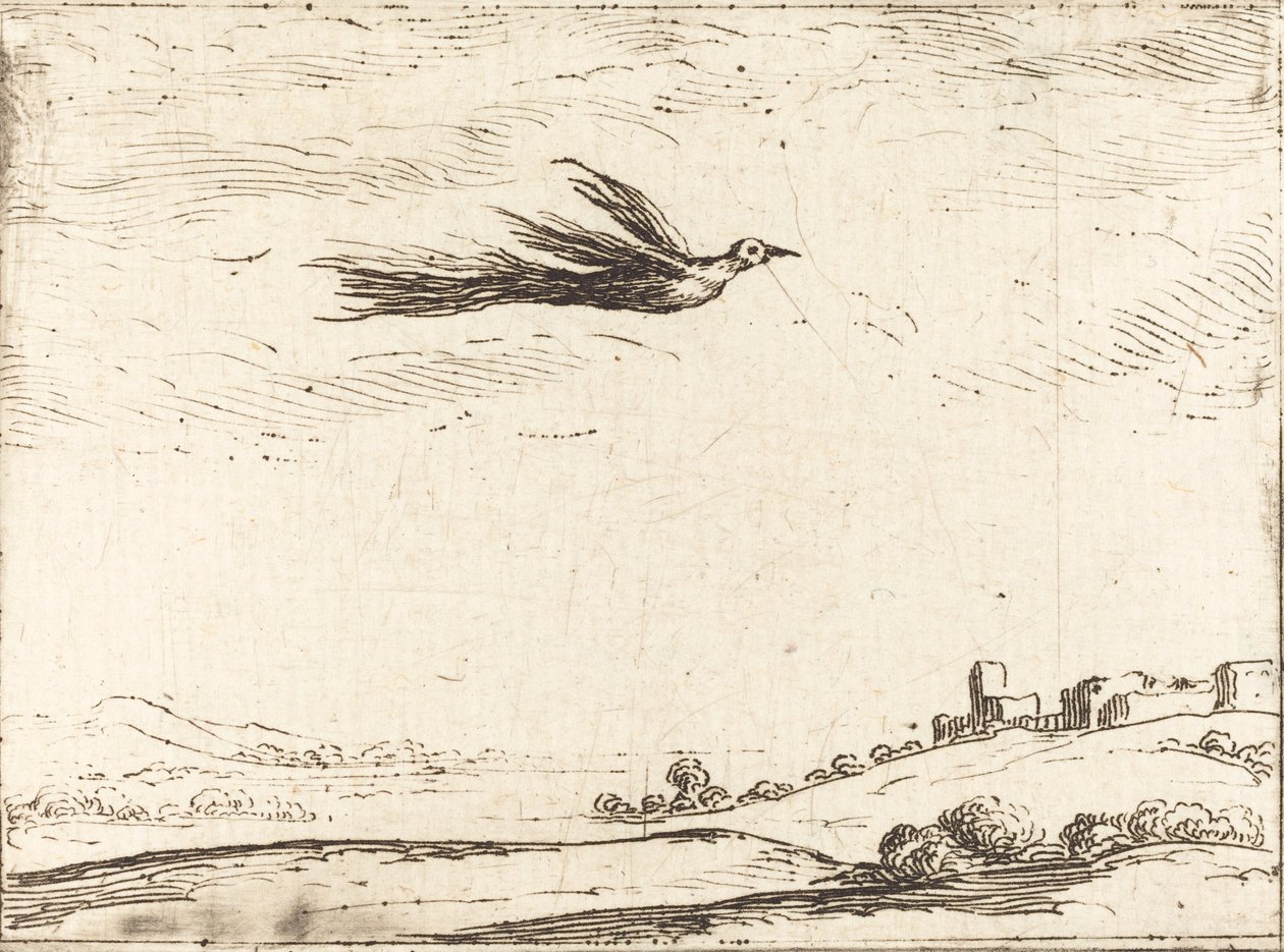 Pássaro do paraíso. de Jacques Callot