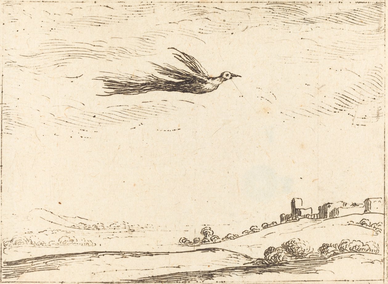 Pássaro do paraíso de Jacques Callot