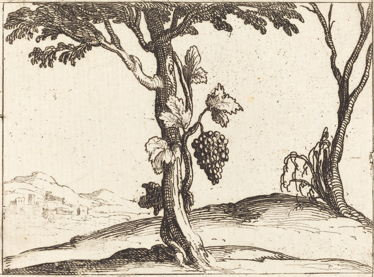 Cacho de uvas de Jacques Callot