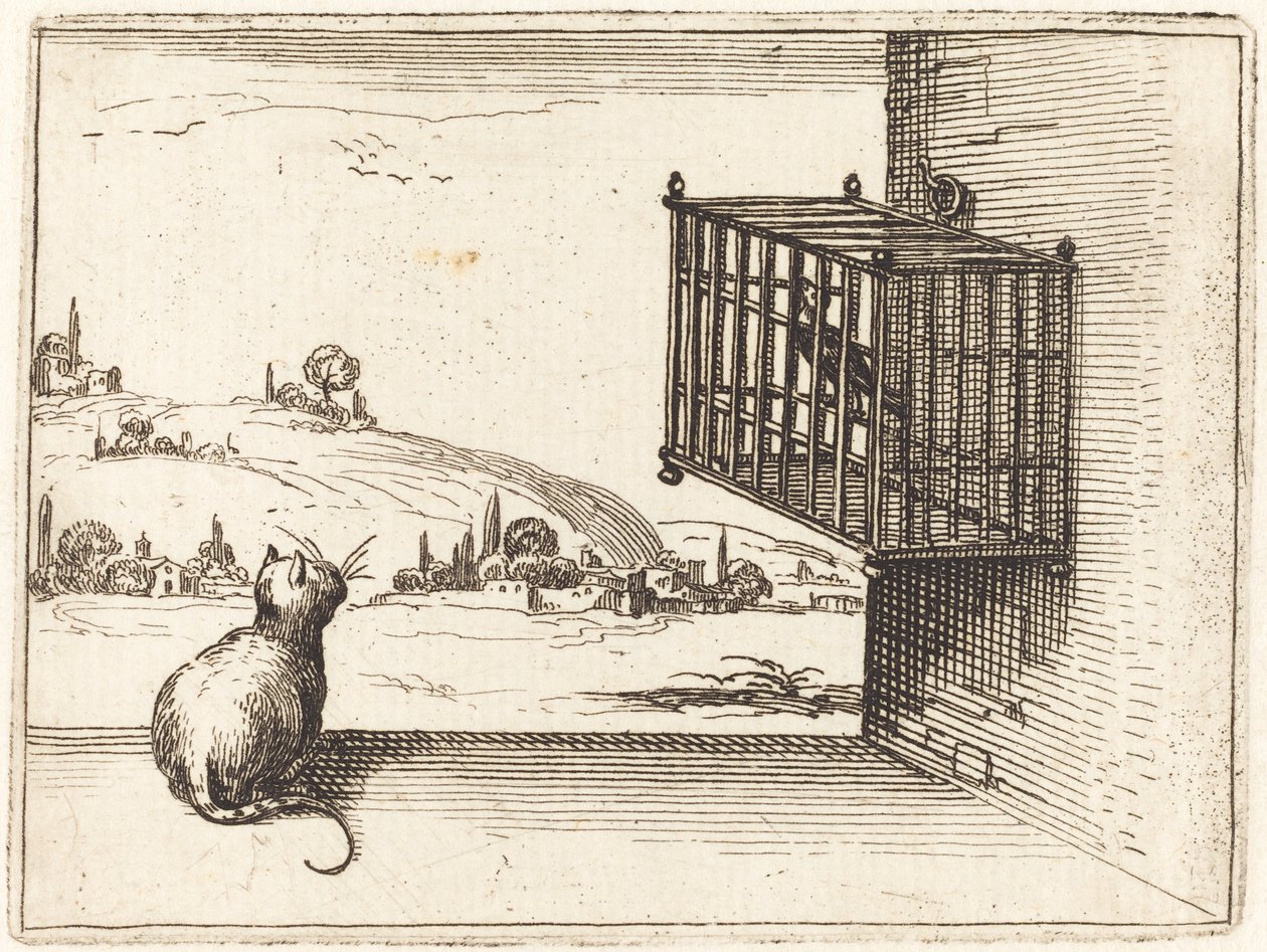 Gato observando pássaro engaiolado de Jacques Callot