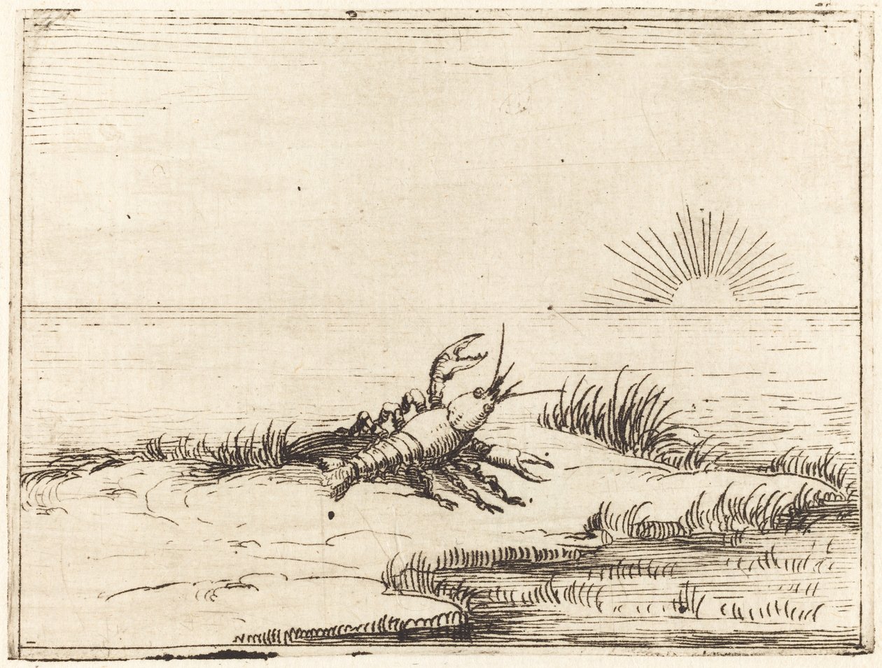 Lagostim olhando para o sol de Jacques Callot