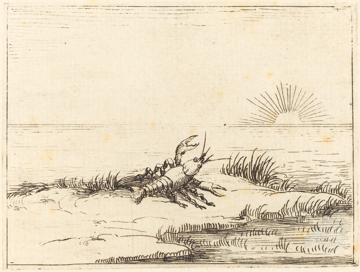 Lagostim olhando para o sol de Jacques Callot