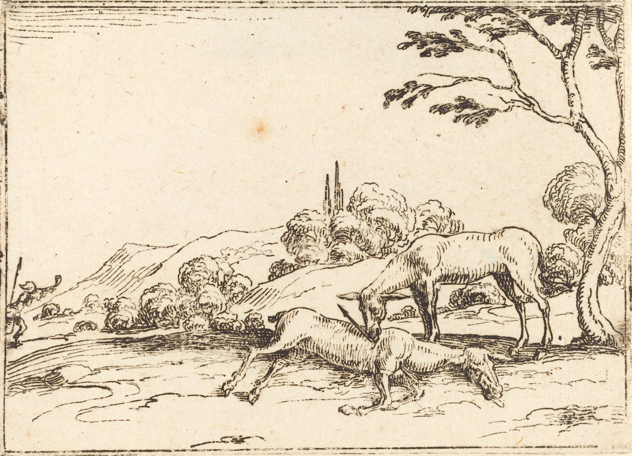 Doe lamentando seu potro de Jacques Callot