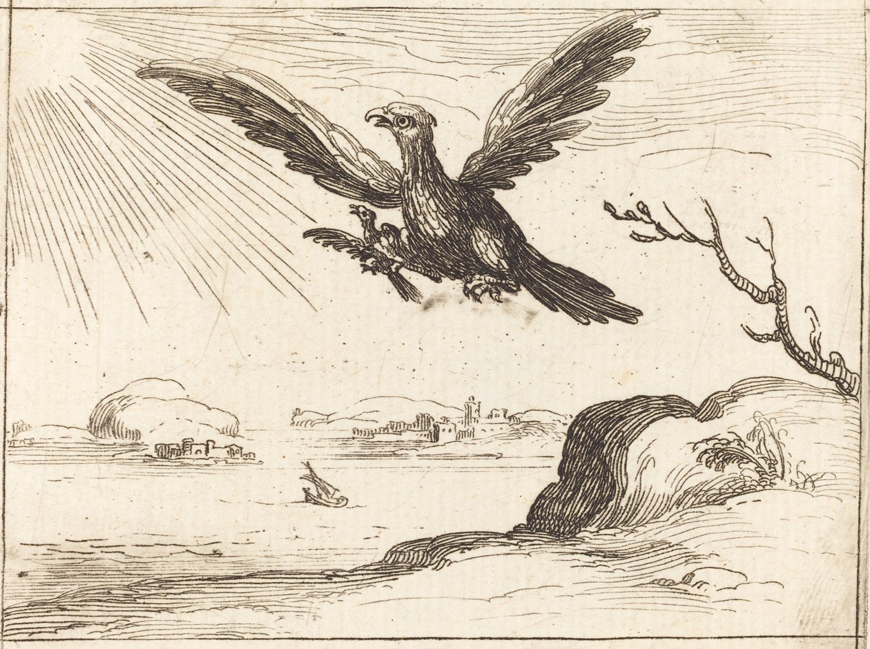 Águia e jovem de Jacques Callot