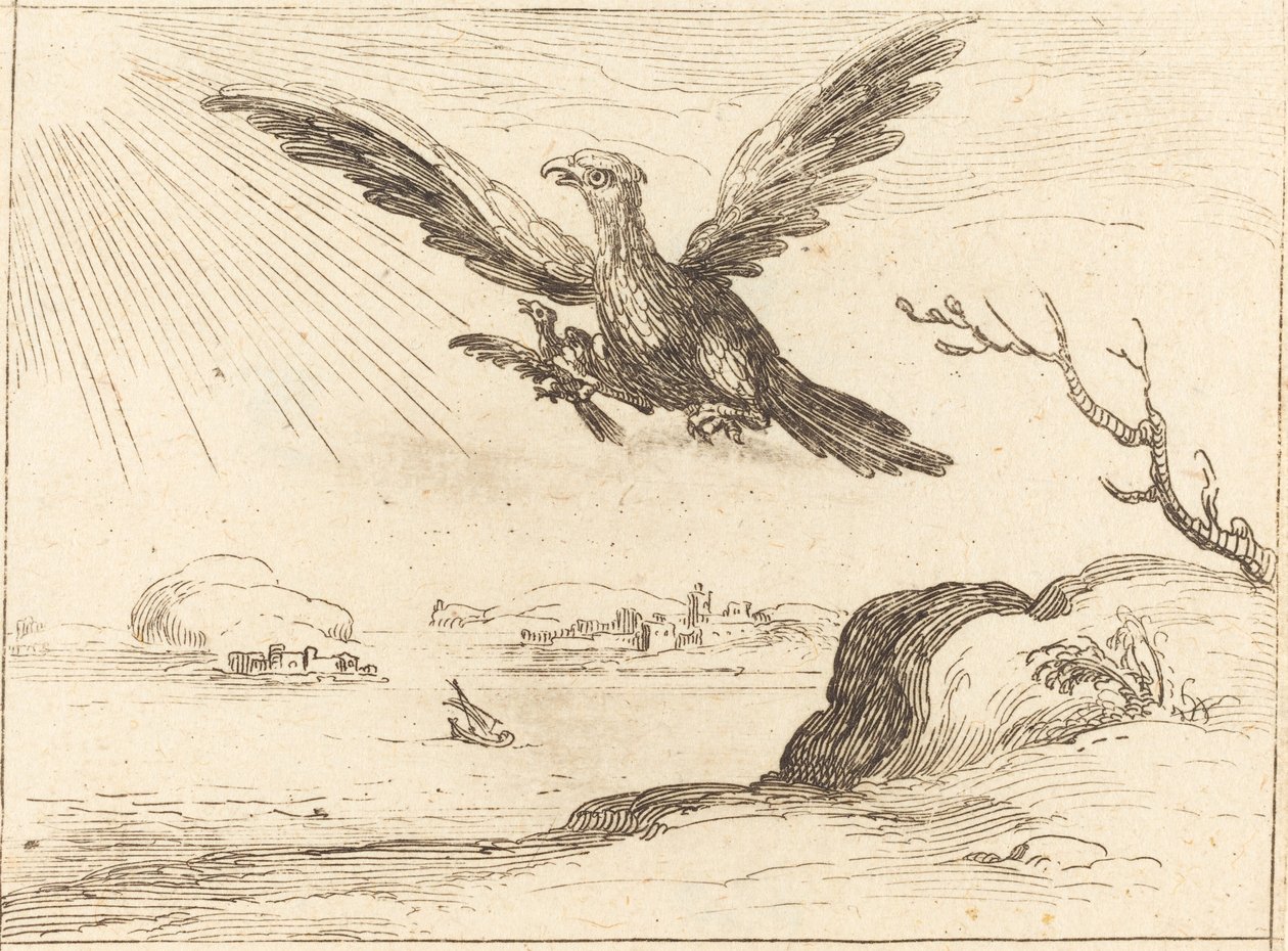 Águia e jovem de Jacques Callot