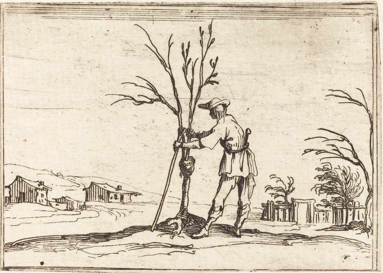 Jardineiro podando uma árvore de Jacques Callot