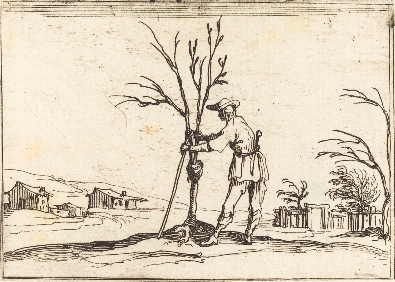Jardineiro podando uma árvore de Jacques Callot
