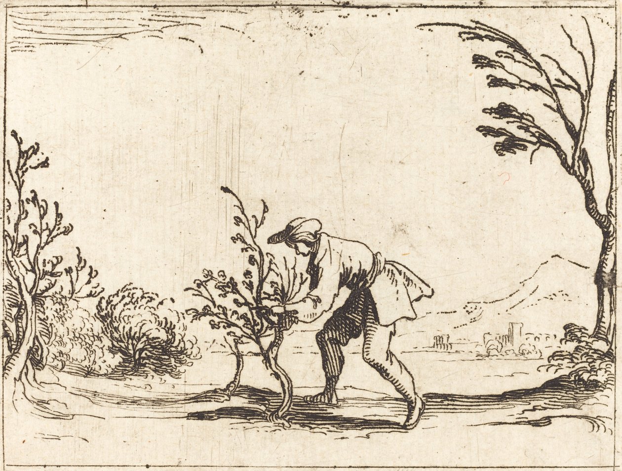 Homem cortando uma árvore de bálsamo de Jacques Callot