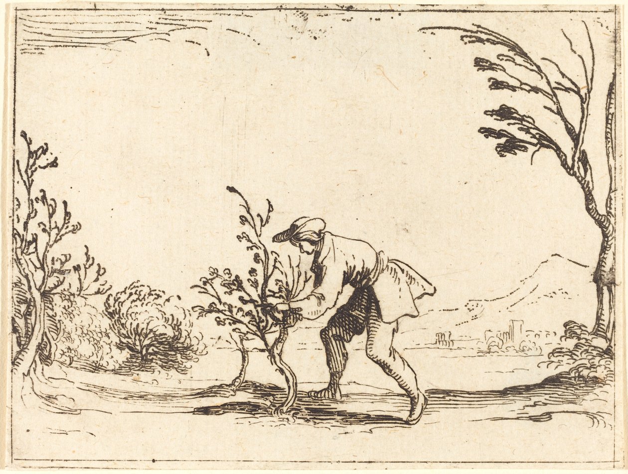 Homem cortando uma árvore de bálsamo de Jacques Callot