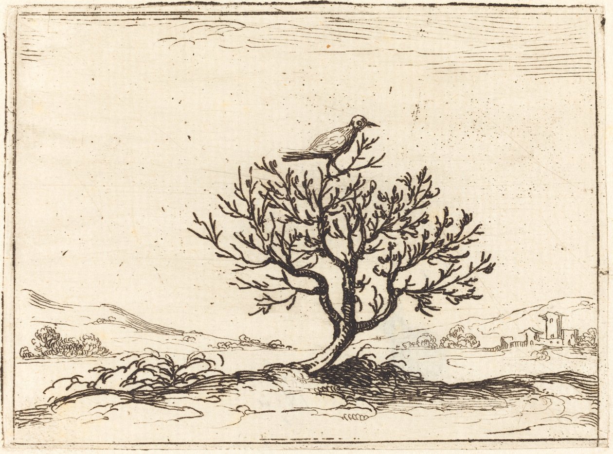 Rouxinol em um arbusto, 1628. de Jacques Callot