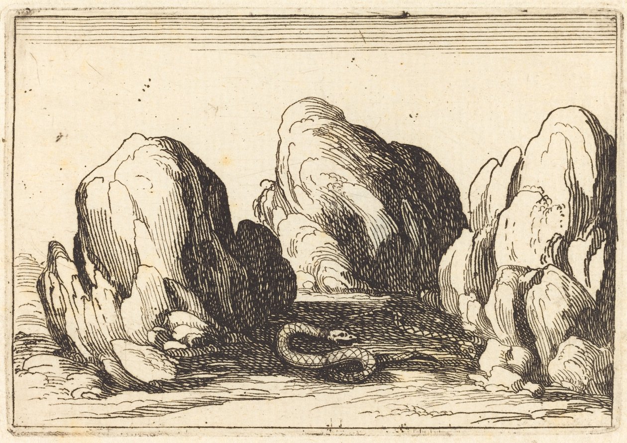 Serpente, 1628. de Jacques Callot