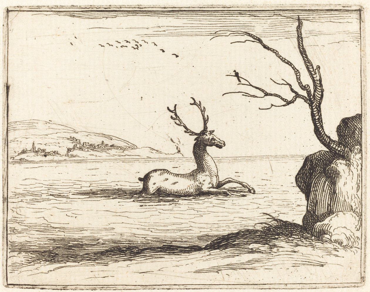 Veado na água de Jacques Callot