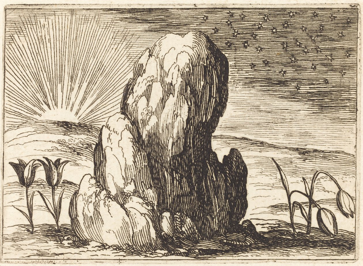 As tulipas e o sol de Jacques Callot