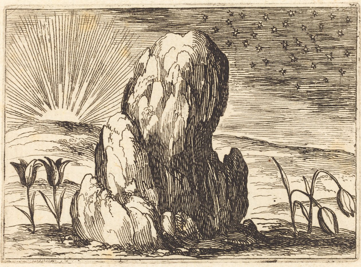 As Tulipas e o Sol, 1628. de Jacques Callot