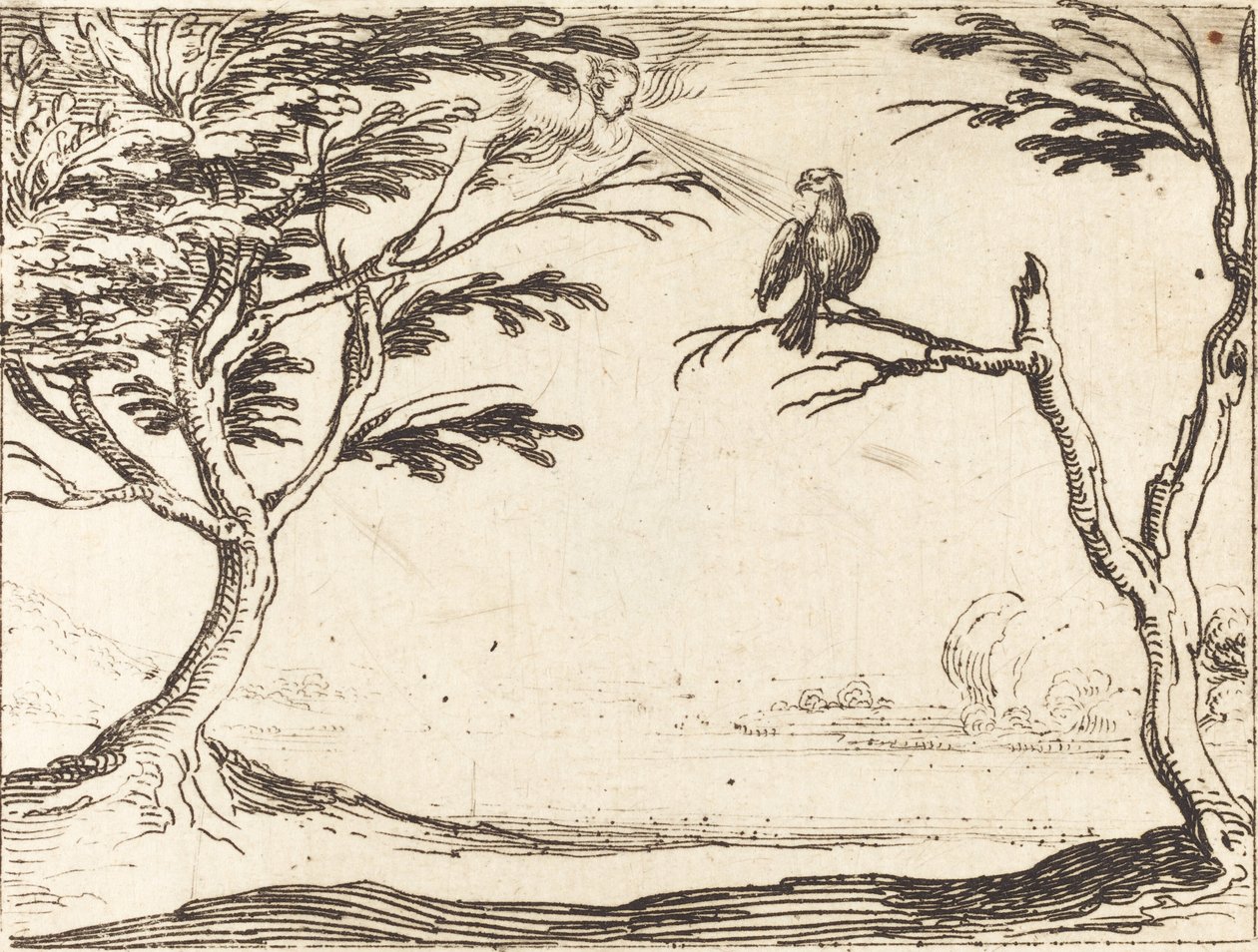 The Vulture de Jacques Callot