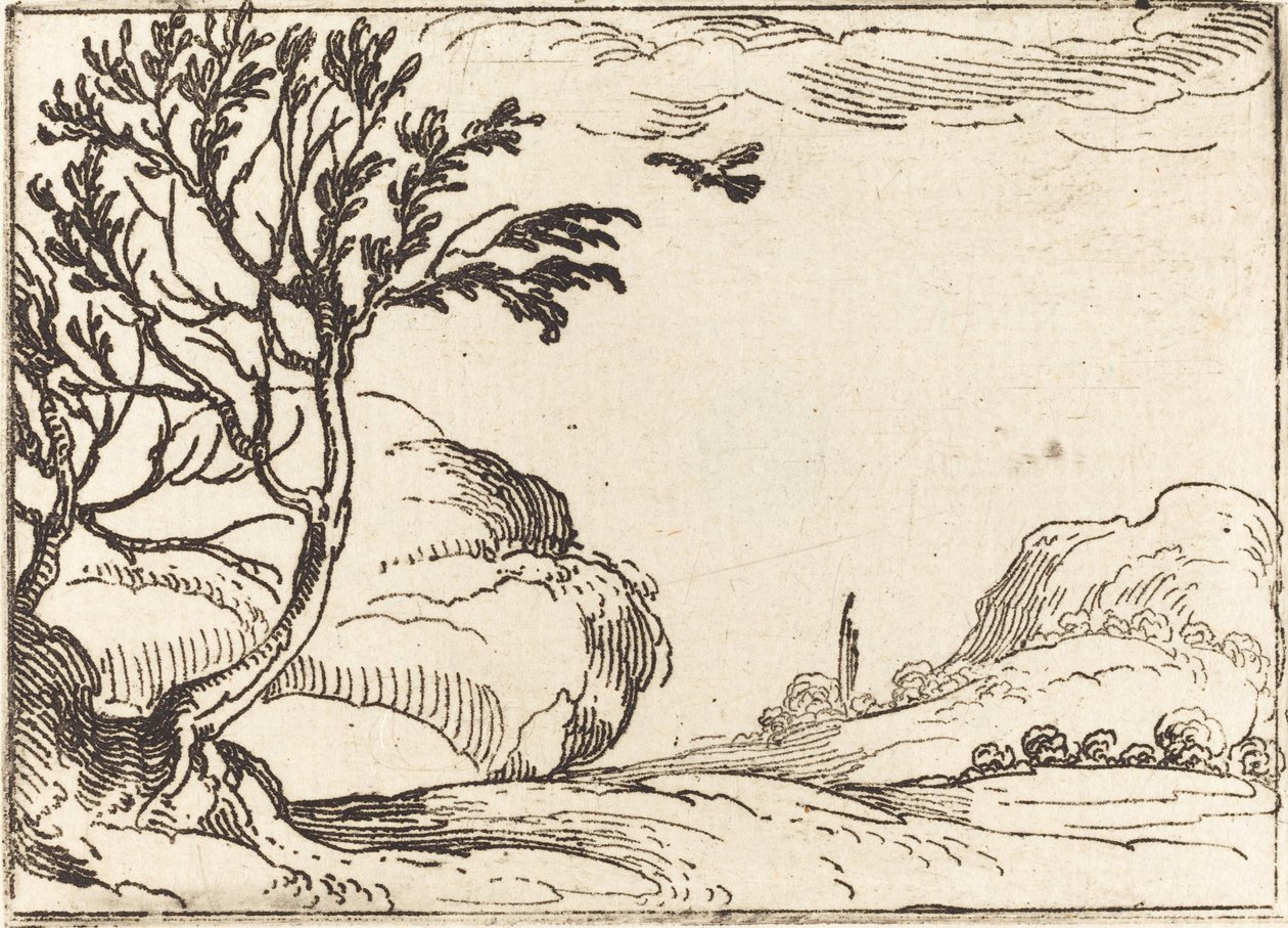 Pomba tartaruga voando no deserto. de Jacques Callot