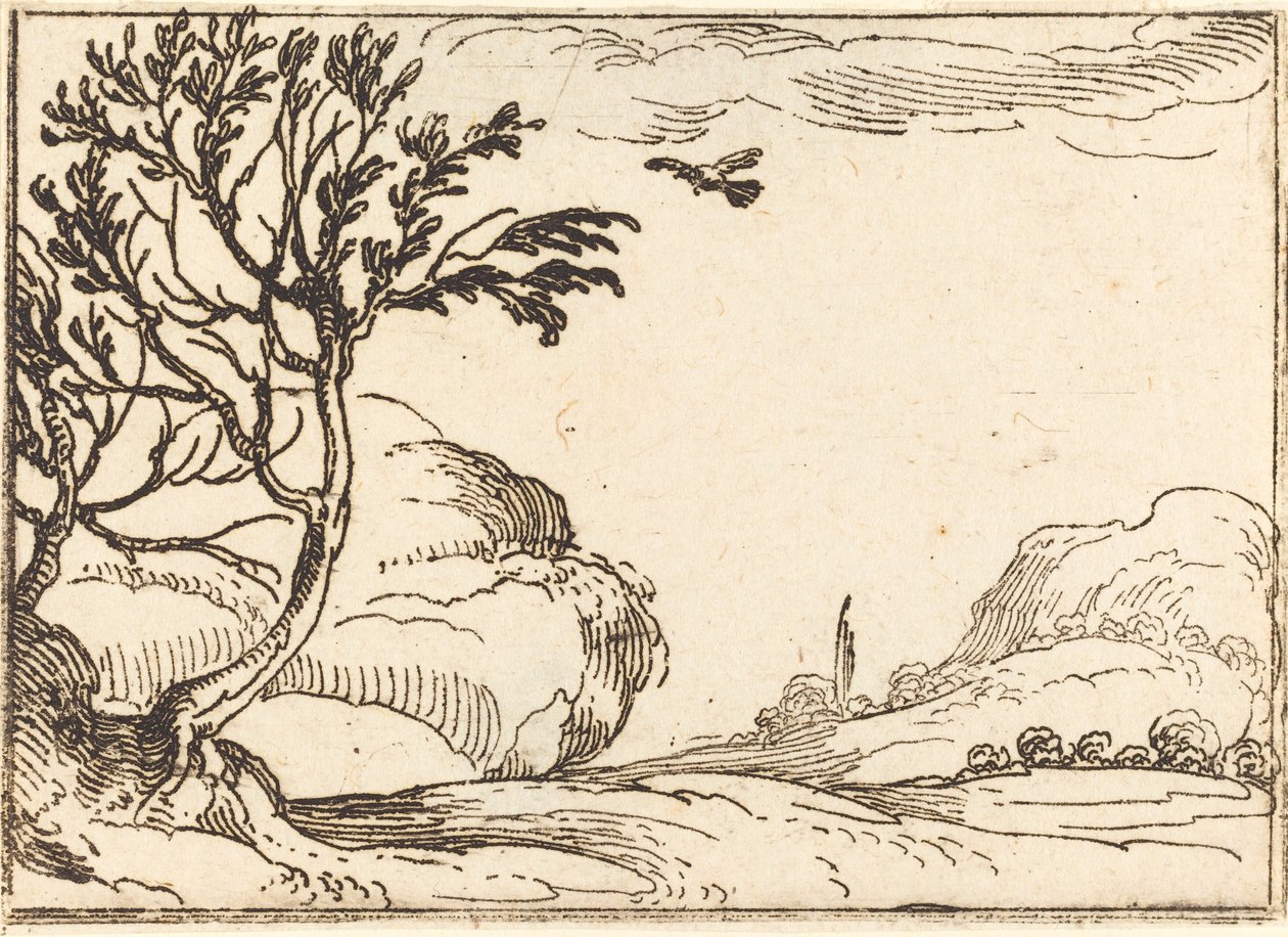 Pomba tartaruga voando no deserto de Jacques Callot