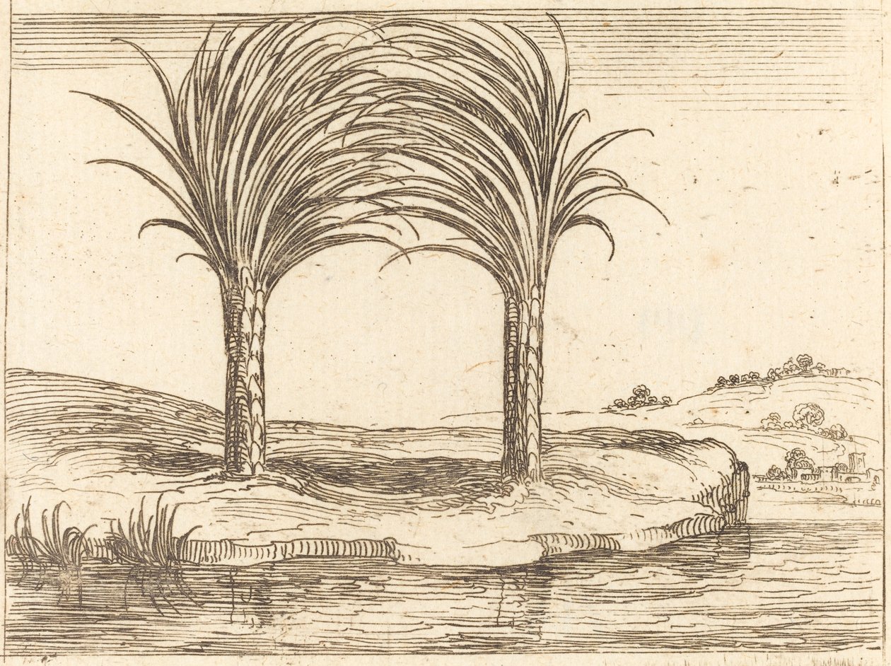 Duas Palmeiras. de Jacques Callot