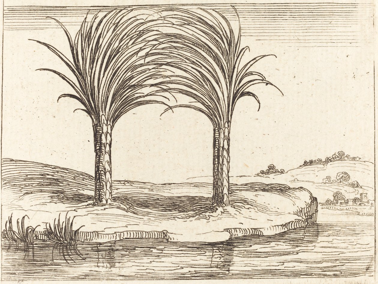 Duas Palmeiras de Jacques Callot
