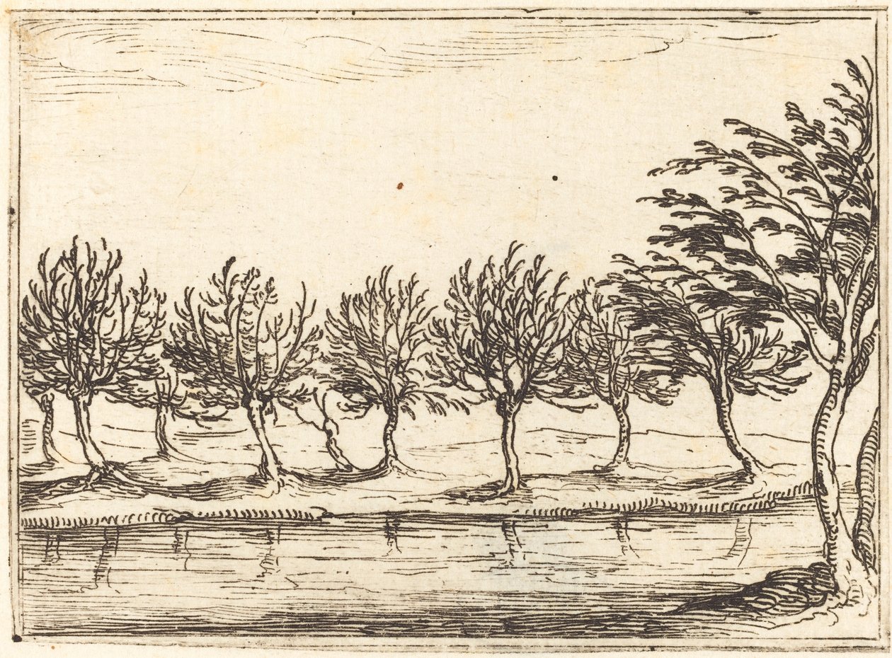 Salgueiros à beira da água de Jacques Callot