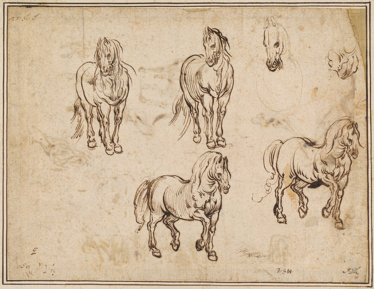 Estudos de Cavalos [reto] de Jacques Callot after Antonio Tempesta