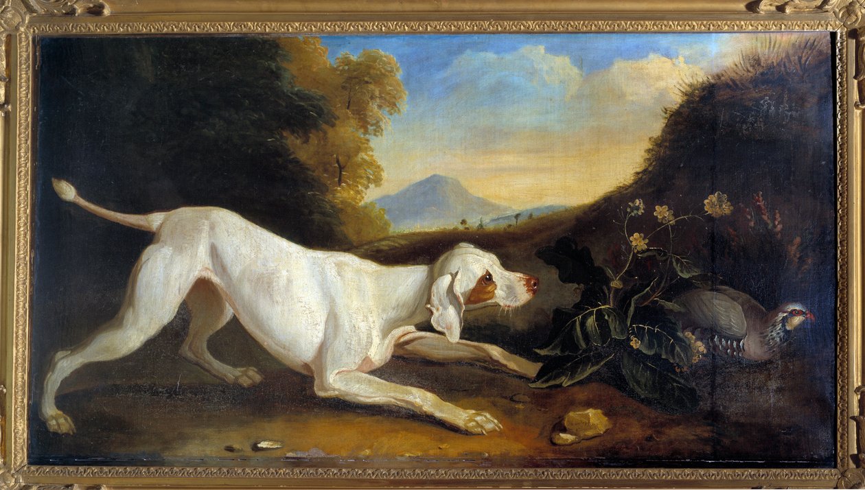 Dog Braque em frente a um faisão Pintura de Jacques Charles Oudry (1720-1778) Paris do século XVIII, Artes Decorativas de Jacques Charles Oudry