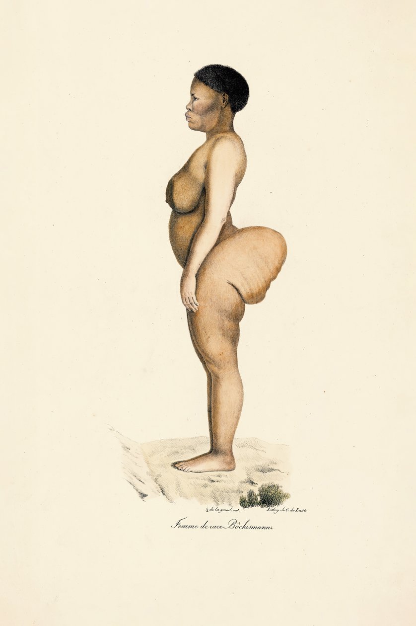 Corrida Boschman Mulher em perfil de Jacques Christophe Werner