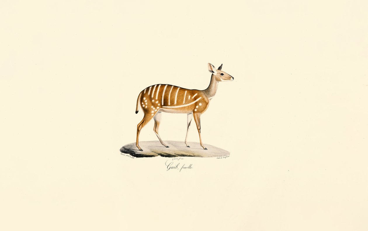  de Jacques Christophe Werner
