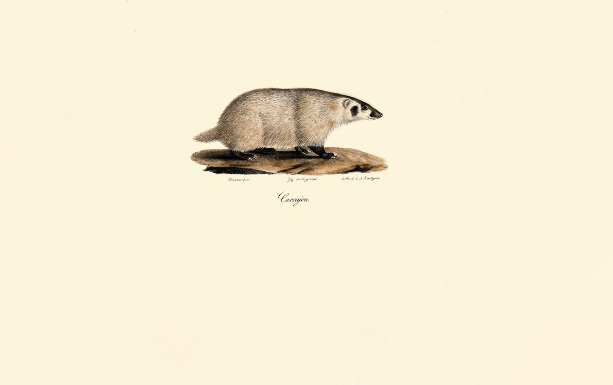  de Jacques Christophe Werner
