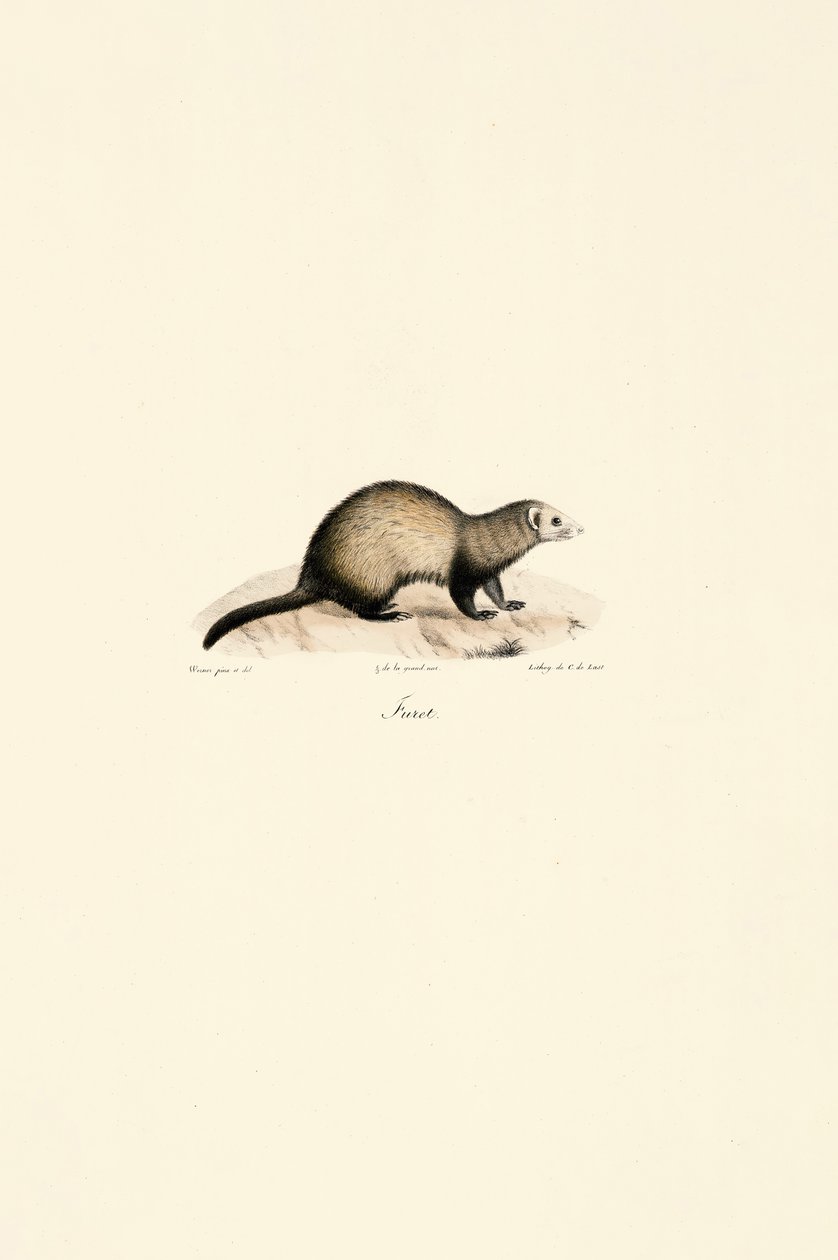  de Jacques Christophe Werner