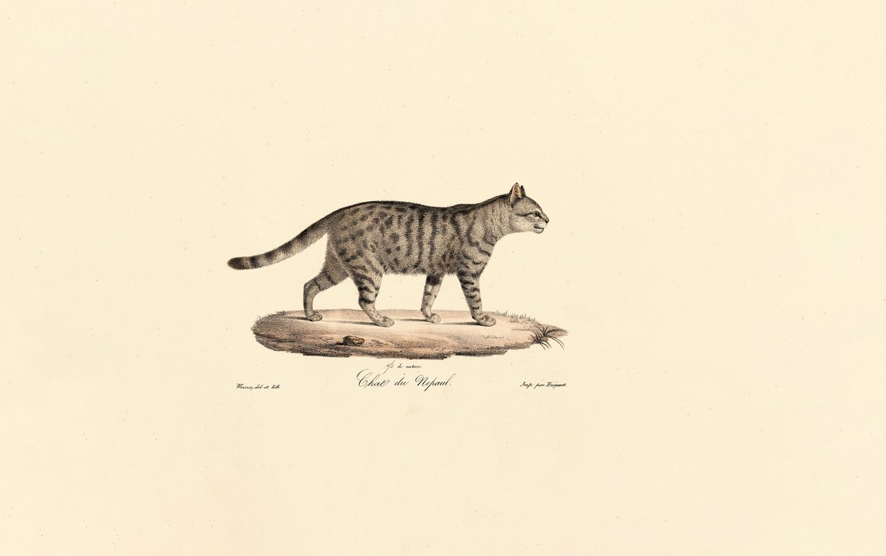  de Jacques Christophe Werner