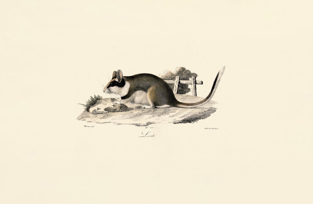 Arganaz de jardim de Jacques Christophe Werner
