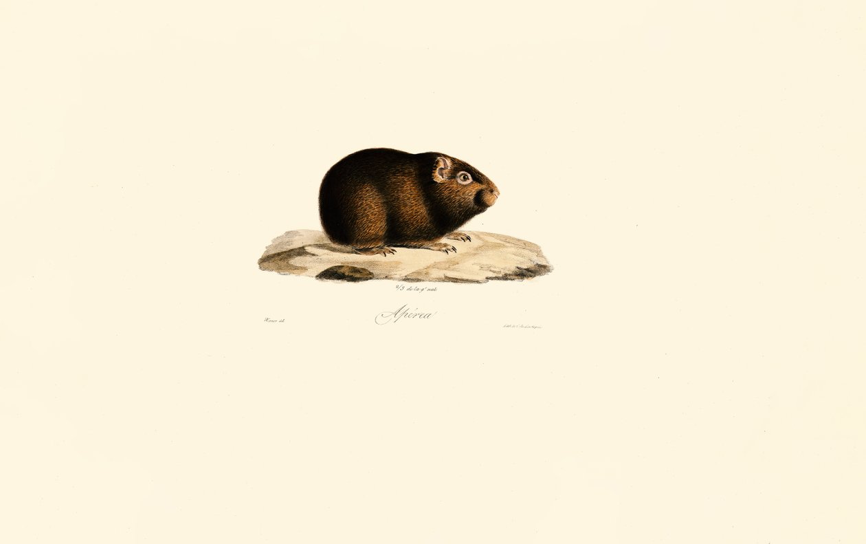  de Jacques Christophe Werner