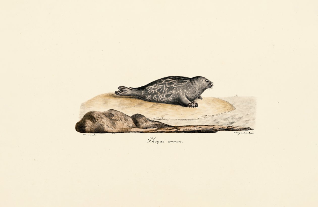  de Jacques Christophe Werner