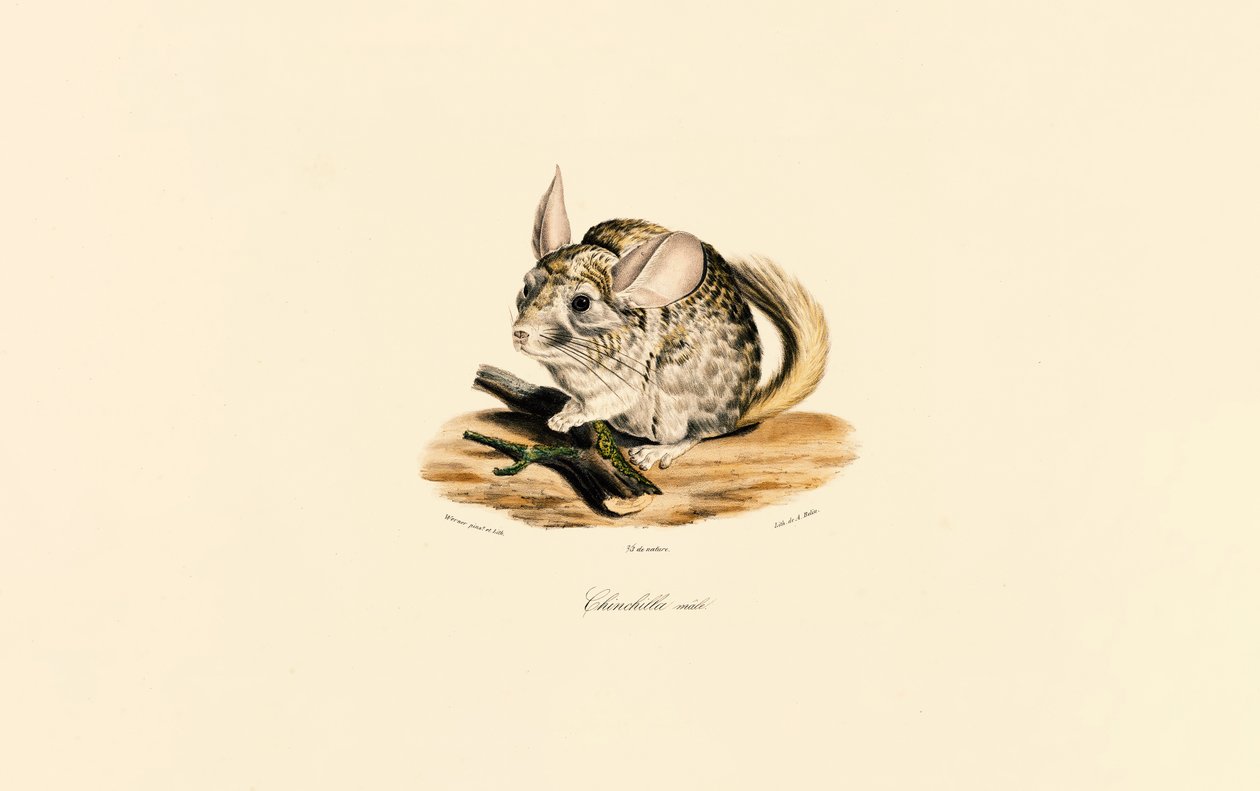  de Jacques Christophe Werner