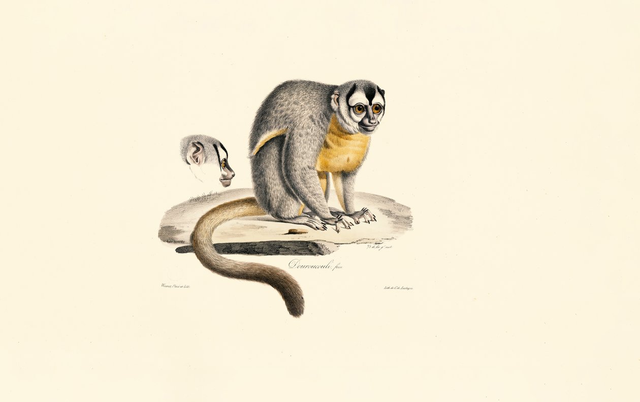  de Jacques Christophe Werner
