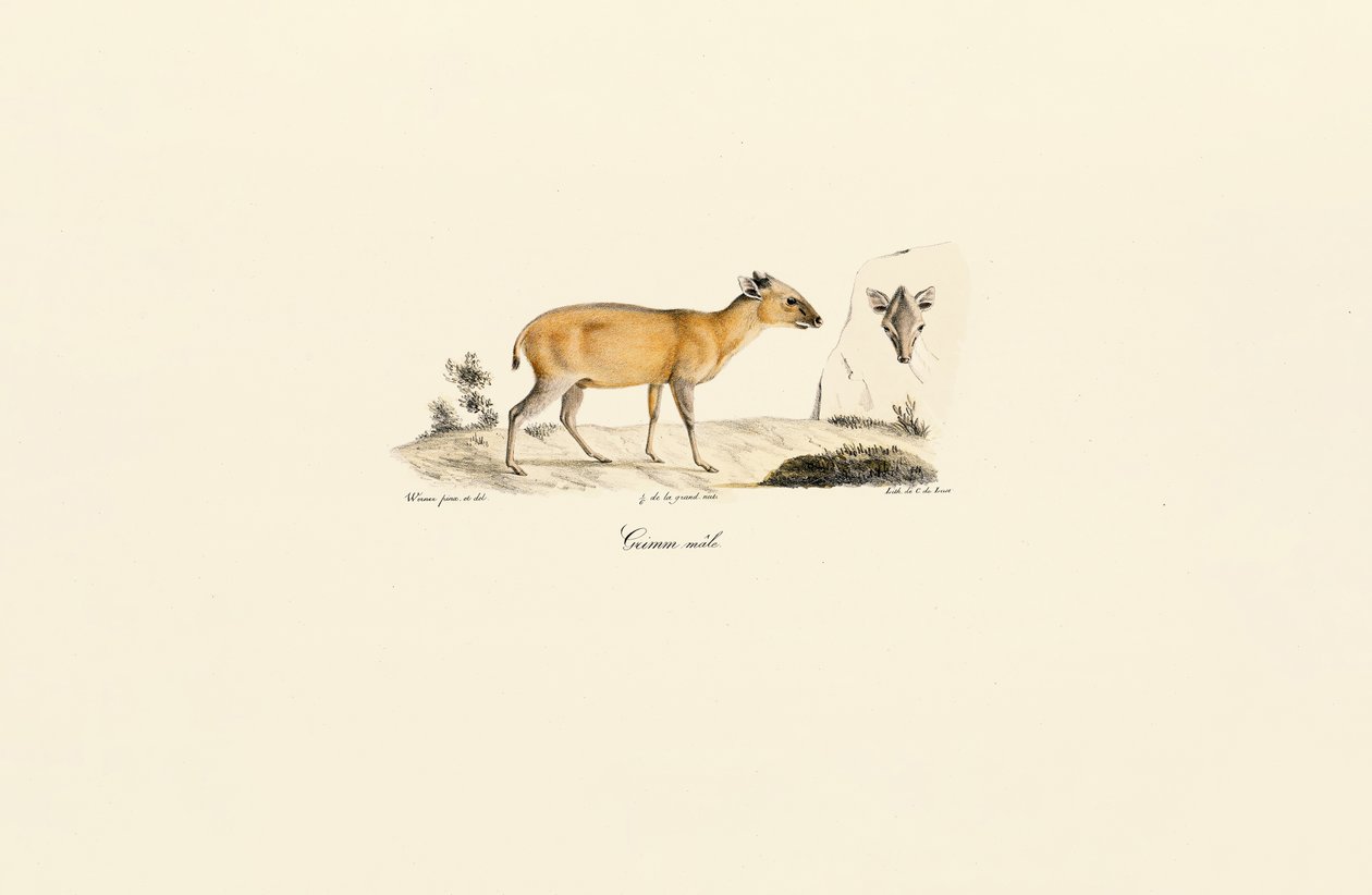  de Jacques Christophe Werner