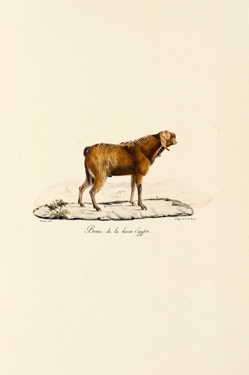  de Jacques Christophe Werner