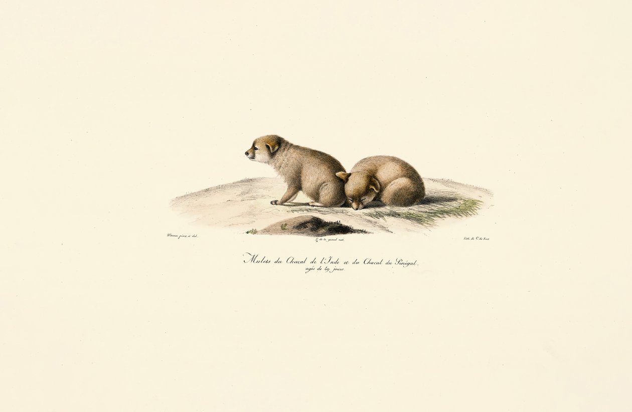  de Jacques Christophe Werner