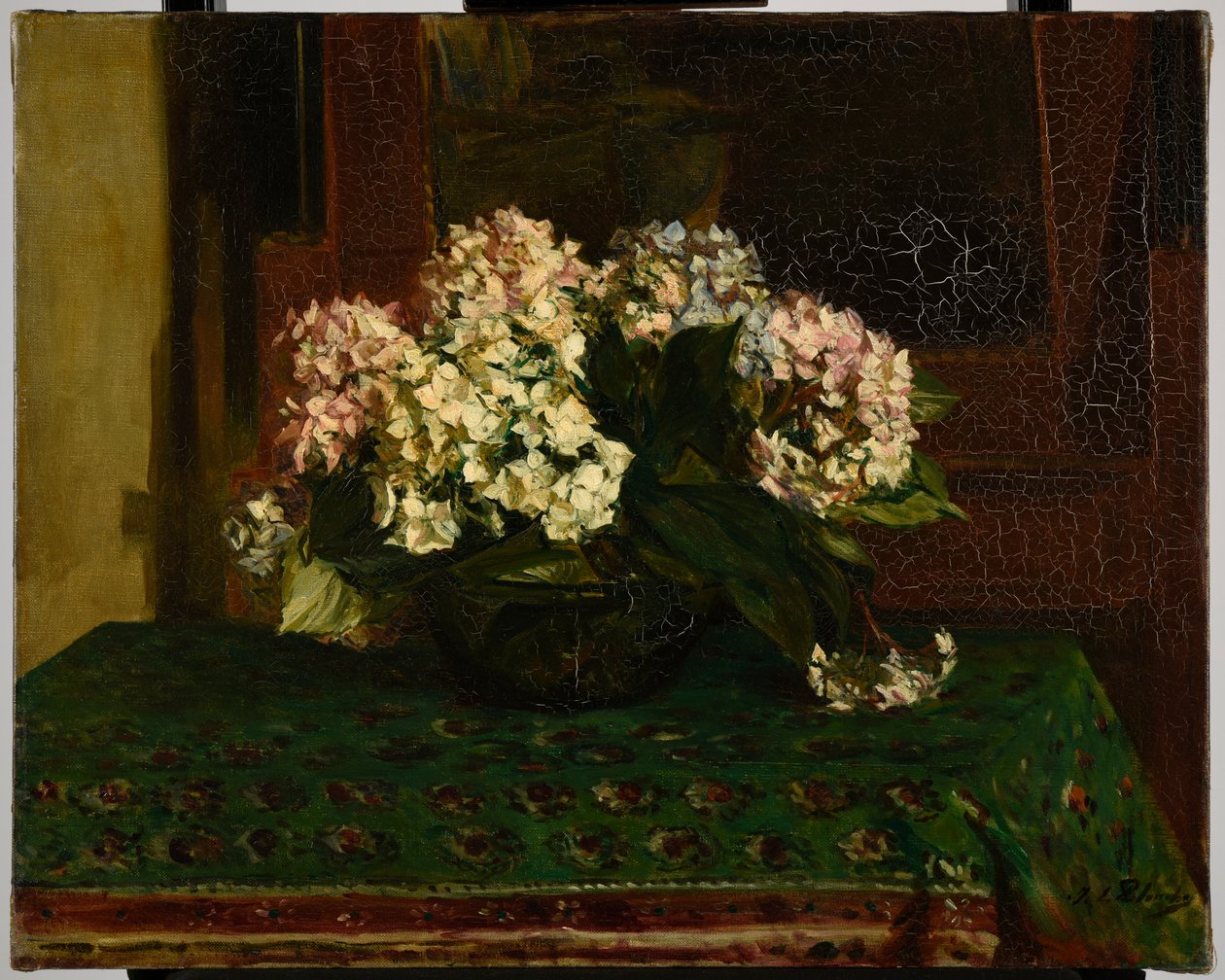 Hortênsias (clima quente) de Jacques Emile Blanche