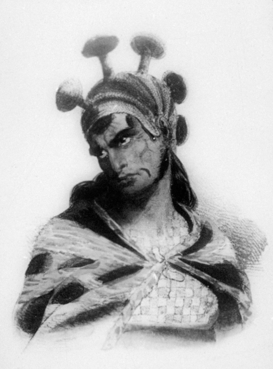 Guerreiro havaiano usando um capacete com uma crista ornamentada de cogumelos, 1819 de Jacques Etienne Victor Arago