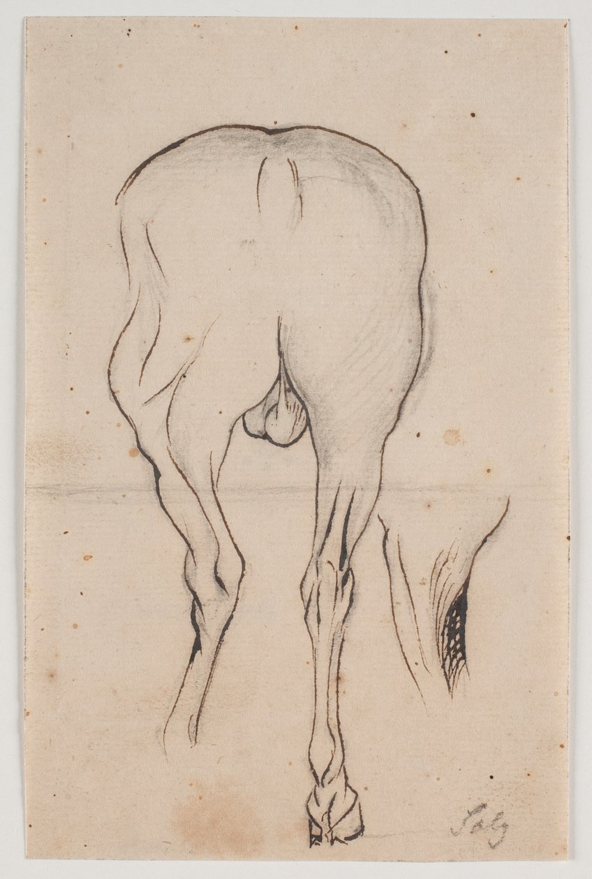 Cavalo visto de trás e uma perna de cavalo de Jacques Francois Joseph Saly