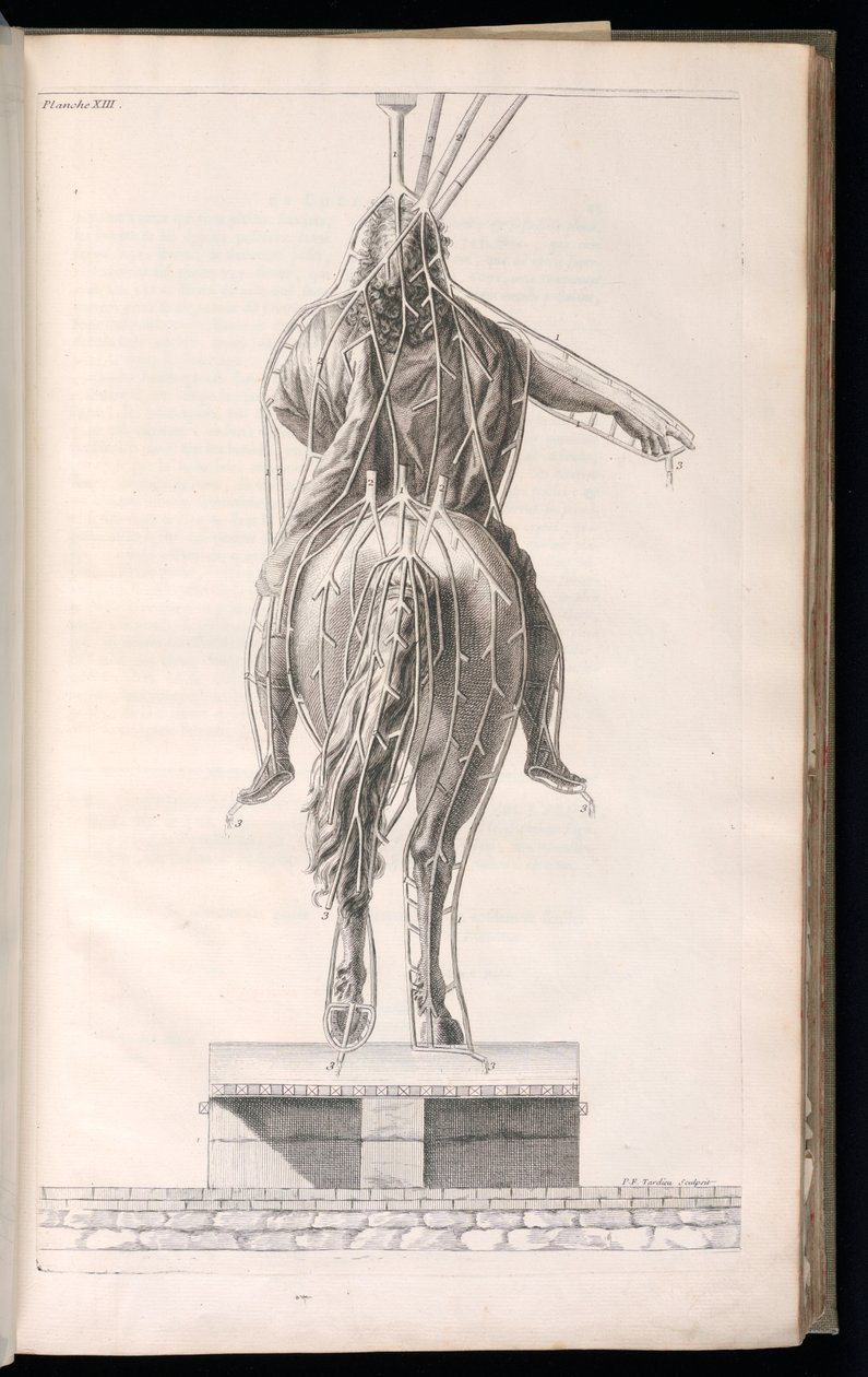 Impressão encadernada (França) de Jacques François Blondel
