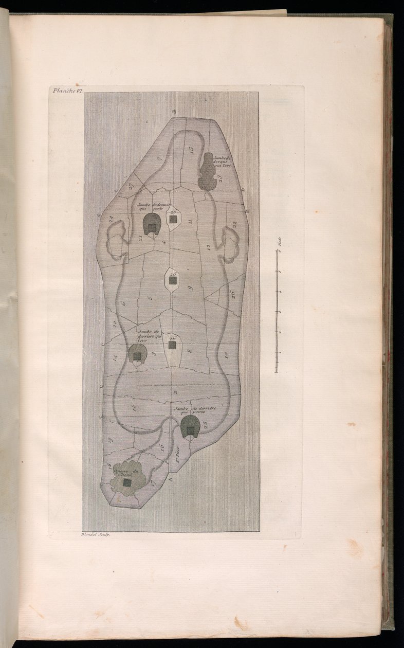 Impressão encadernada (França) de Jacques François Blondel