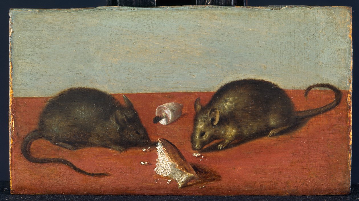 Ratos, c.1600 (óleo sobre madeira de carvalho) de Jacques II de Gheyn