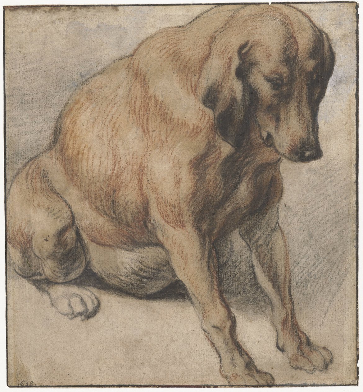 Cão Sentado Cadela grávida sentada de Jacques Jordaens
